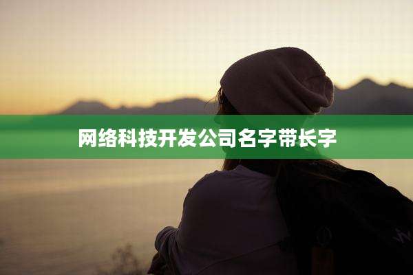 网络科技开发公司名字带长字