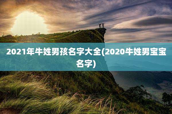 2021年牛姓男孩名字大全(2020牛姓男宝宝名字)