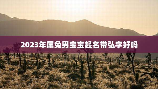 2023年属兔男宝宝起名带弘字好吗