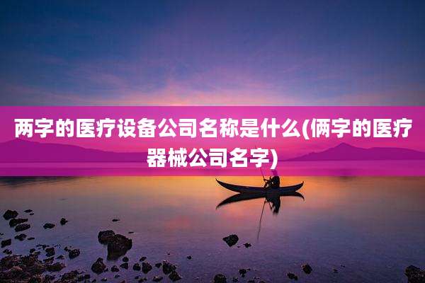 两字的医疗设备公司名称是什么(俩字的医疗器械公司名字)