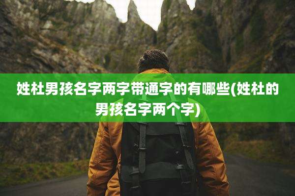 姓杜男孩名字两字带通字的有哪些(姓杜的男孩名字两个字)