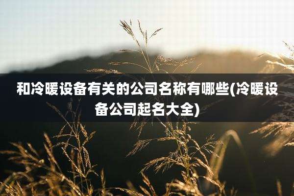 和冷暖设备有关的公司名称有哪些(冷暖设备公司起名大全)
