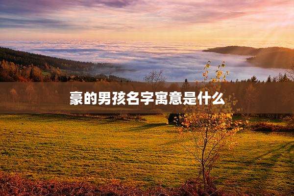 豪的男孩名字寓意是什么