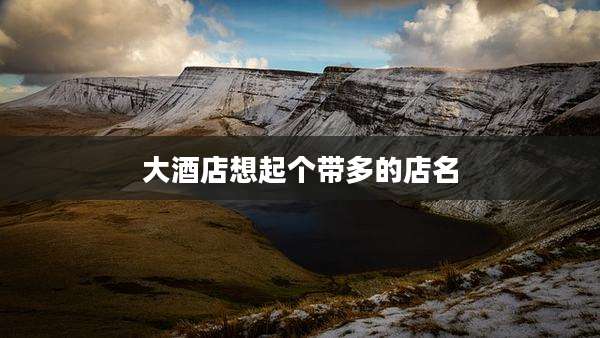 大酒店想起个带多的店名