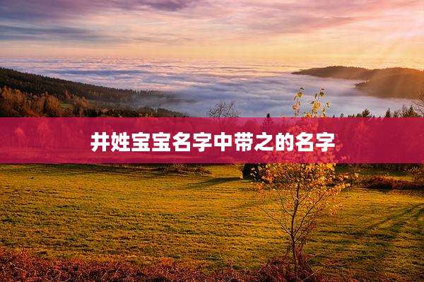 井姓宝宝名字中带之的名字