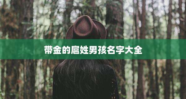 带金的扈姓男孩名字大全