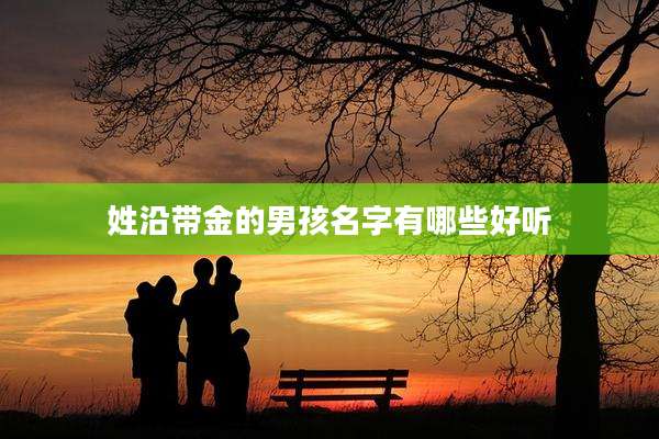 姓沿带金的男孩名字有哪些好听