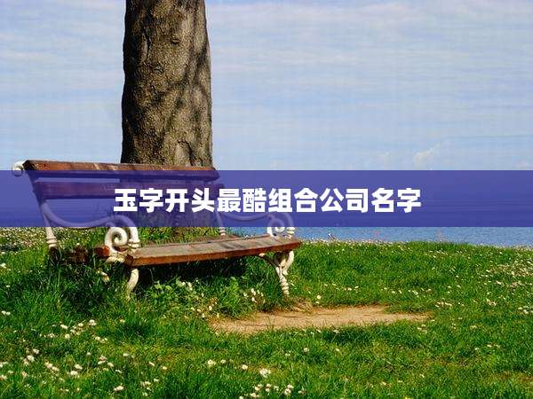 玉字开头最酷组合公司名字
