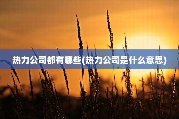 热力公司都有哪些(热力公司是什么意思)