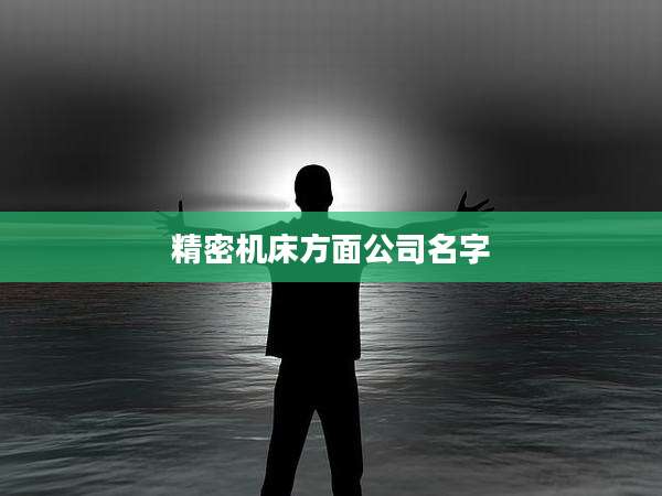 精密机床方面公司名字