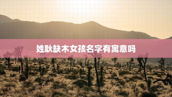 姓耿缺木女孩名字有寓意吗