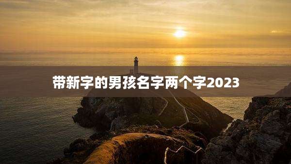 带新字的男孩名字两个字2023