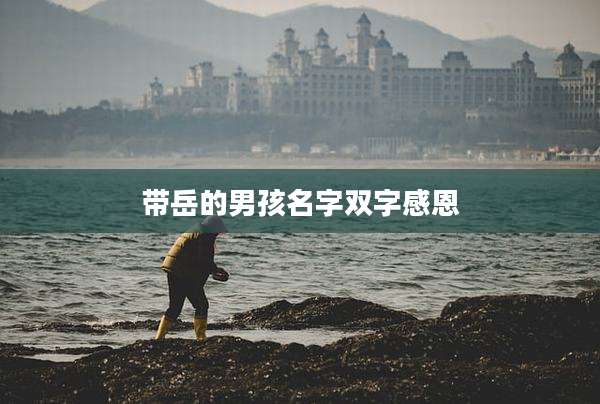 带岳的男孩名字双字感恩
