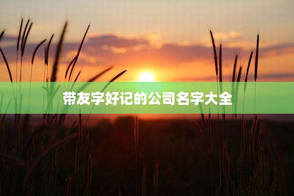 带友字好记的公司名字大全