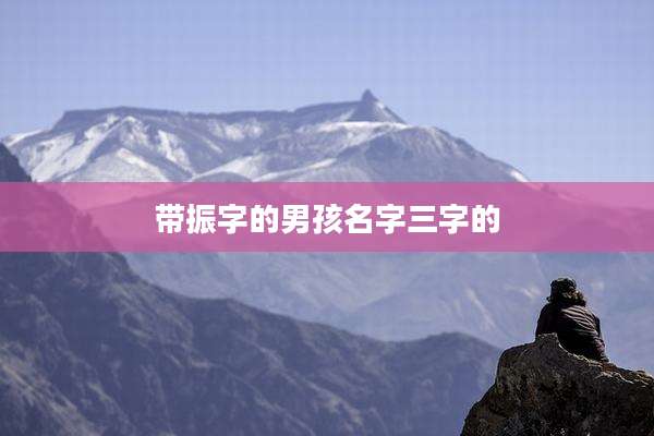 带振字的男孩名字三字的