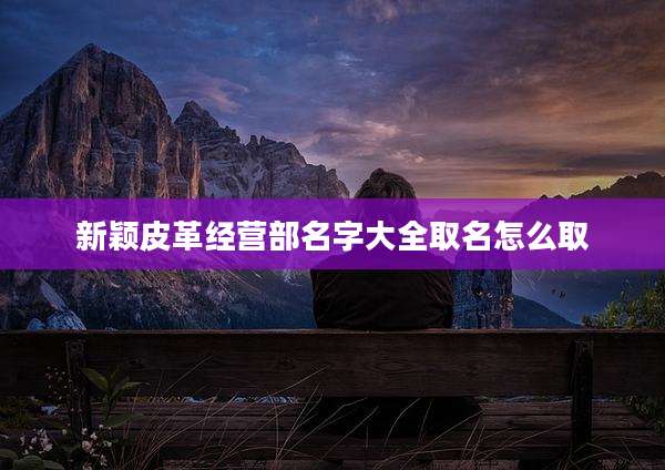 新颖皮革经营部名字大全取名怎么取