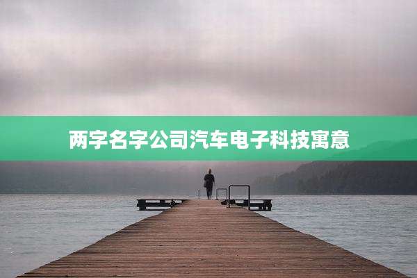 两字名字公司汽车电子科技寓意