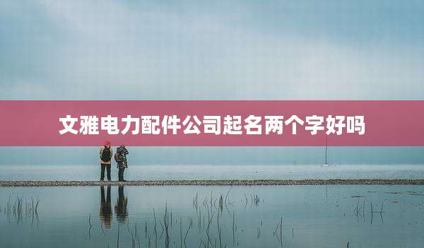 文雅电力配件公司起名两个字好吗