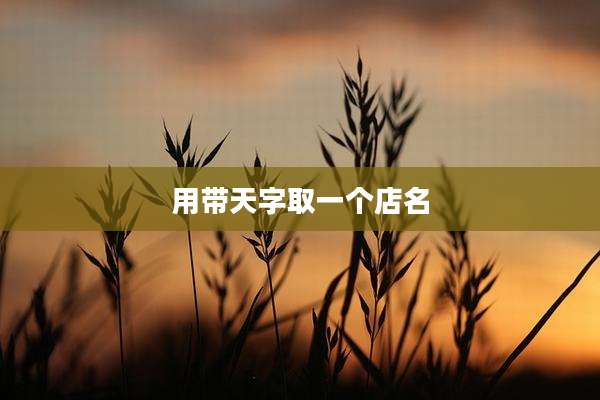 用带天字取一个店名