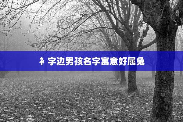 衤字边男孩名字寓意好属兔