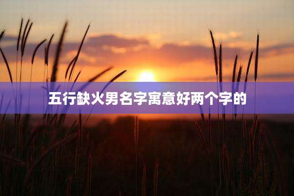 五行缺火男名字寓意好两个字的