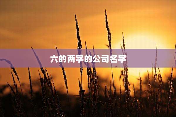 六的两字的公司名字