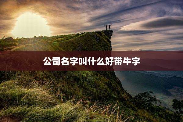 公司名字叫什么好带牛字