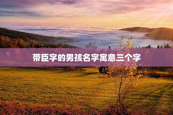 带臣字的男孩名字寓意三个字