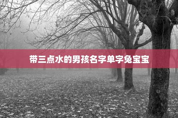带三点水的男孩名字单字兔宝宝