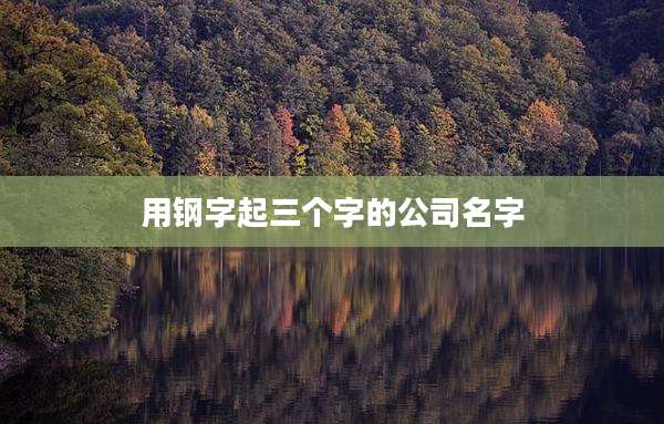 用钢字起三个字的公司名字