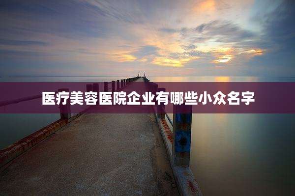 医疗美容医院企业有哪些小众名字
