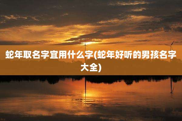 蛇年取名字宜用什么字(蛇年好听的男孩名字大全)