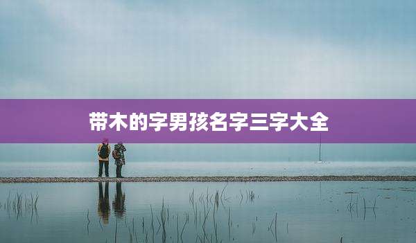 带木的字男孩名字三字大全