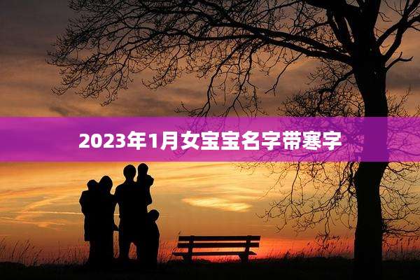 2023年1月女宝宝名字带寒字