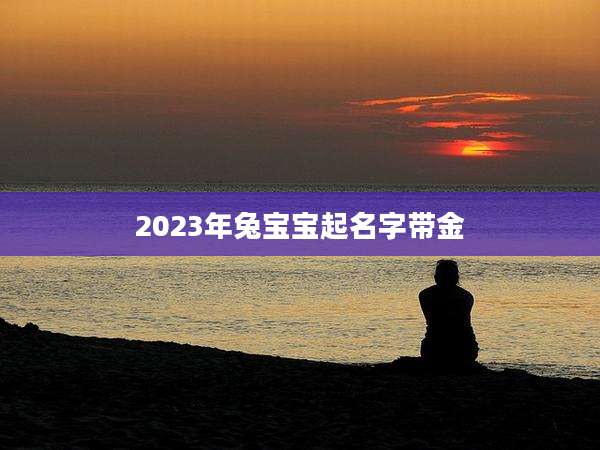2023年兔宝宝起名字带金