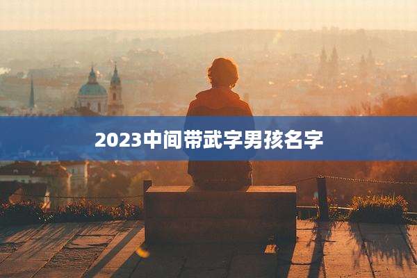 2023中间带武字男孩名字