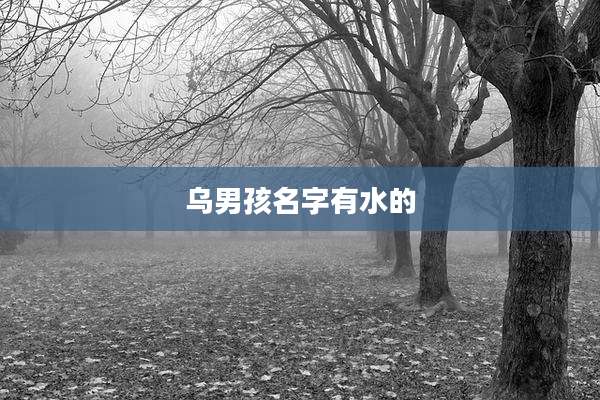 乌男孩名字有水的