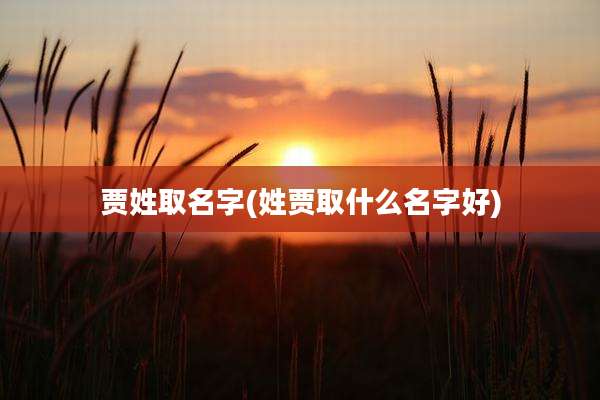 贾姓取名字(姓贾取什么名字好)
