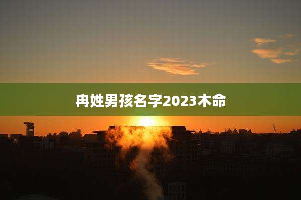 冉姓男孩名字2023木命
