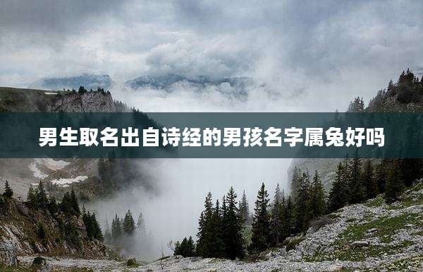 男生取名出自诗经的男孩名字属兔好吗