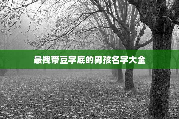 最拽带豆字底的男孩名字大全