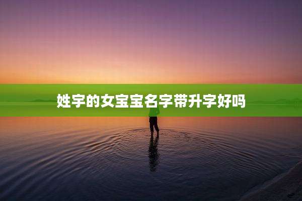 姓宇的女宝宝名字带升字好吗