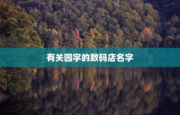 有关园字的数码店名字