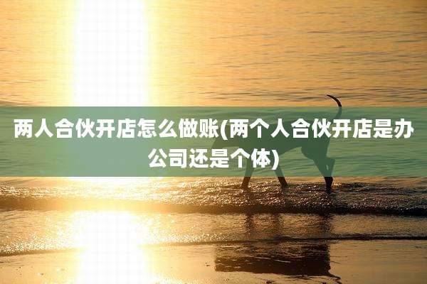 两人合伙开店怎么做账(两个人合伙开店是办公司还是个体)