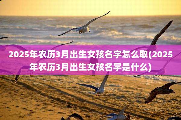 2025年农历3月出生女孩名字怎么取(2025年农历3月出生女孩名字是什么)