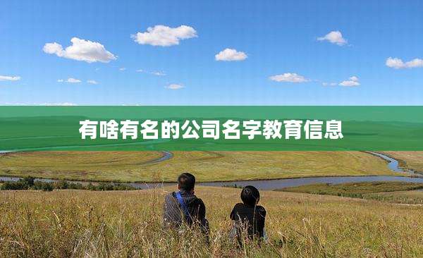 有啥有名的公司名字教育信息