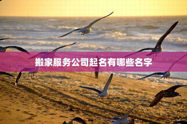 搬家服务公司起名有哪些名字
