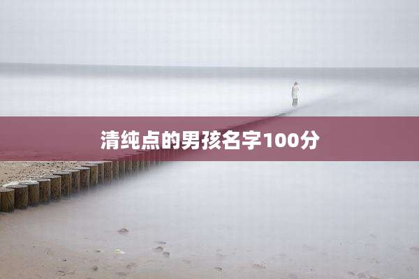 清纯点的男孩名字100分