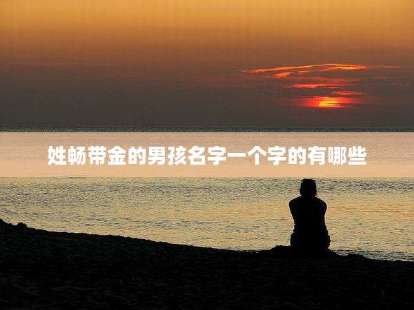 姓畅带金的男孩名字一个字的有哪些