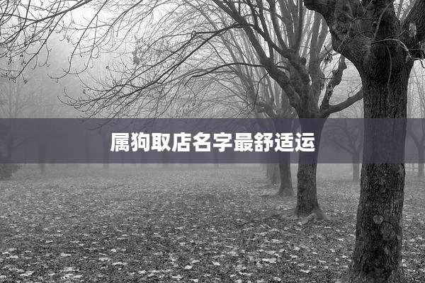 属狗取店名字最舒适运